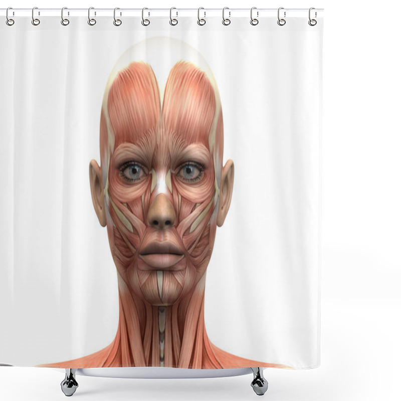 Personality  Female Head Muscles Anatomy - Front View Shower Curtains