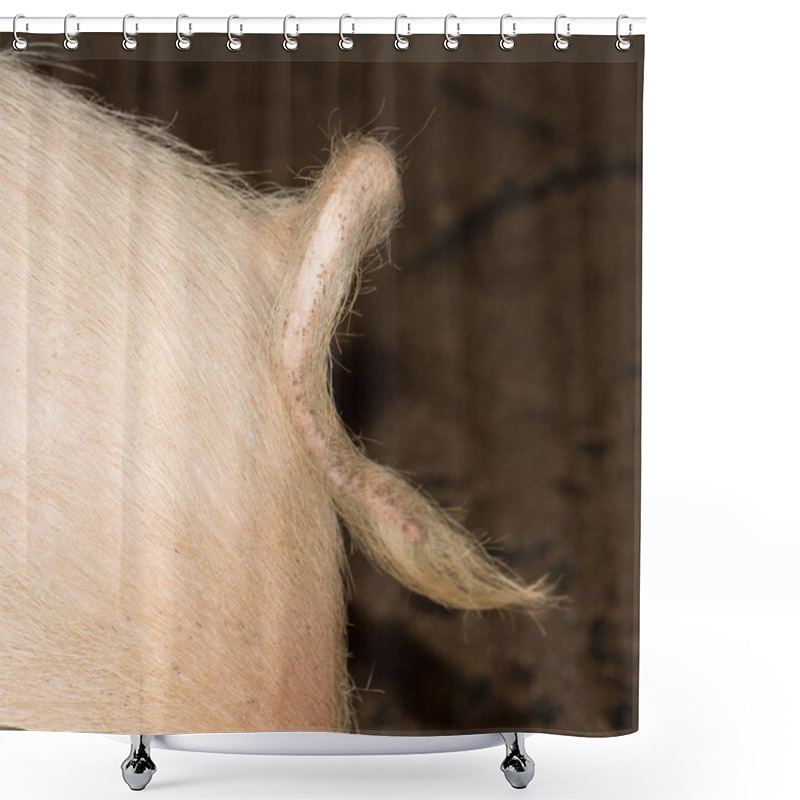 Personality  The Curly Tail Of A Piglet Shower Curtains