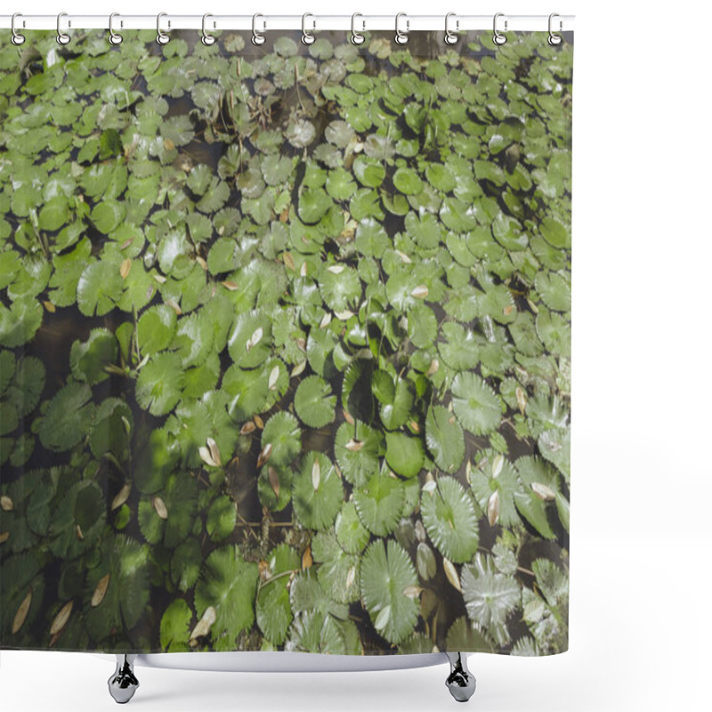 Personality  Green Shower Curtains