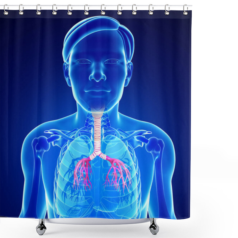 Personality  Male Throat Anatomy Shower Curtains