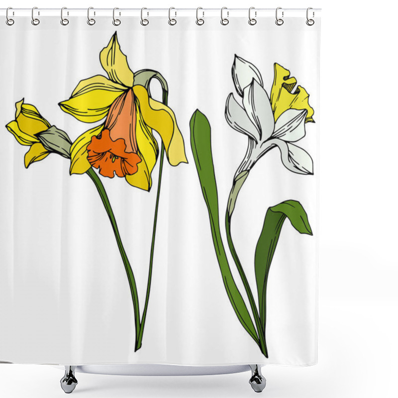 Personality  Vector Narcissus Floral Botanical Flower. Black And White Engraved Ink Art. Isolated Narcissus Illustration Element. Shower Curtains