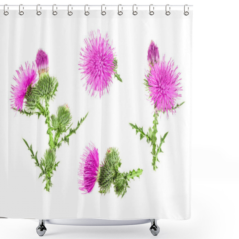 Personality  Milk Thistle Flower Isolated On White Background. Top View. Flat Lay Pattern Shower Curtains