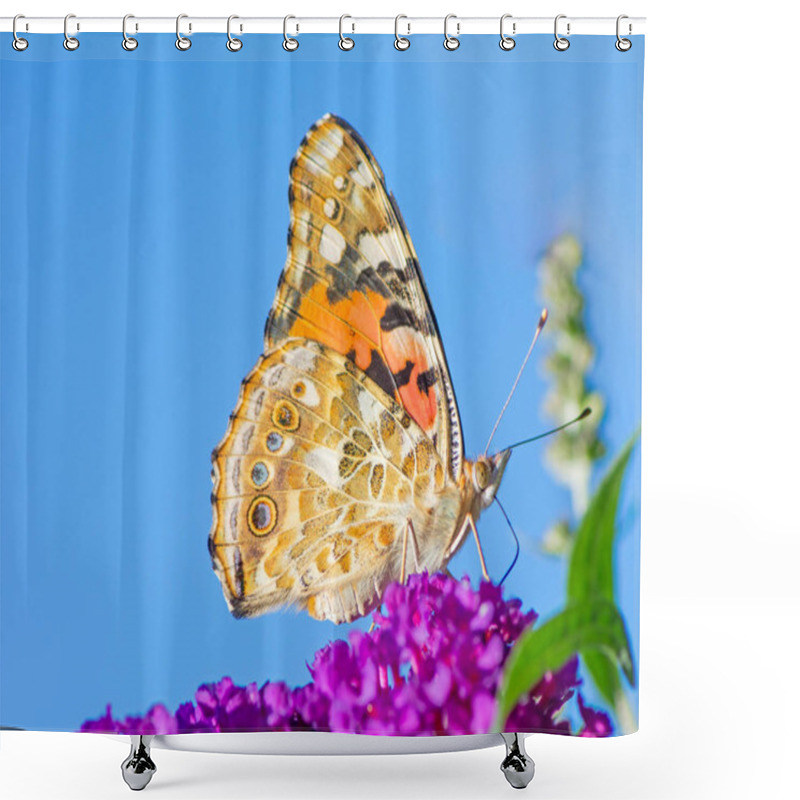 Personality  Painted Lady Butterfly Shower Curtains