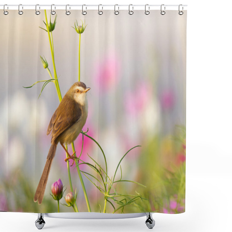 Personality  Bird On Flower In The Garden Shower Curtains