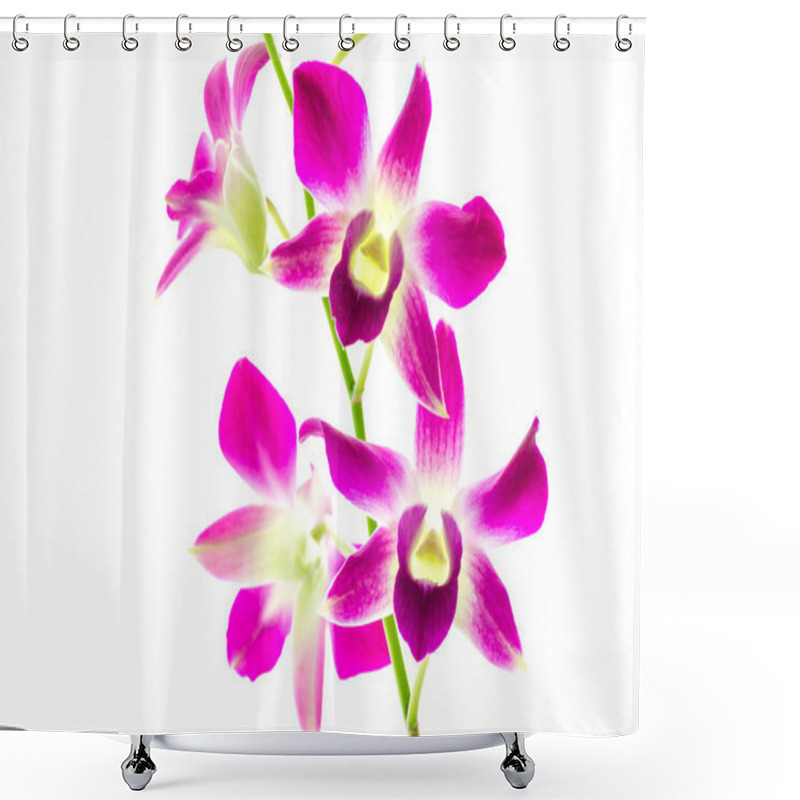 Personality  Orchind Isolated White Background Shower Curtains