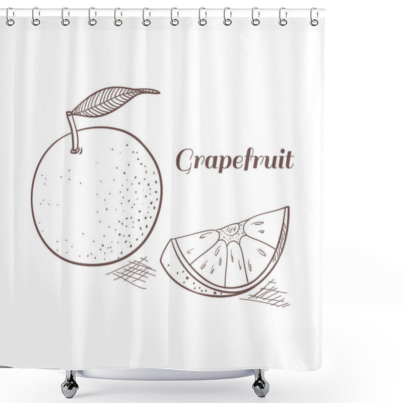 Personality  Grapefruit Vector Illustration Shower Curtains