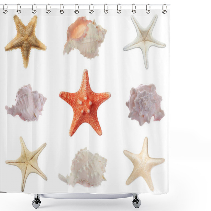 Personality  Collection Of Different Beautiful Sea Stars And Shells On White Background Shower Curtains