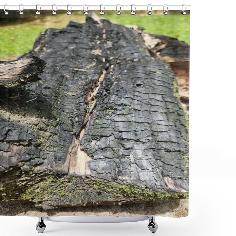 Personality  Close-up Of A Partially Burned And Charred Wooden Log With Textures Of Blackened Bark And Green Moss, Capturing A Natural Element Decaying And Growing Outdoors With A Vibrant Background. Shower Curtains