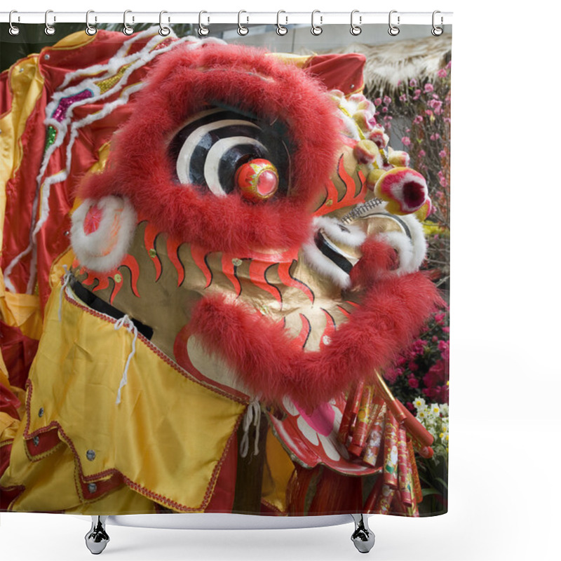 Personality  Close-up Of Chinese Dragon Head Shower Curtains