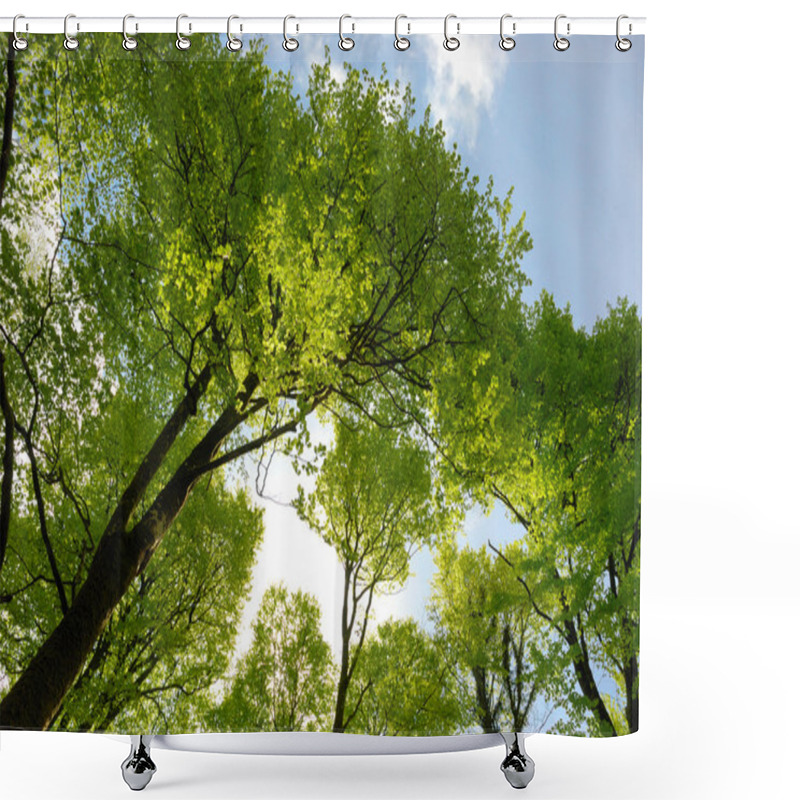 Personality  Spring Woodland Shower Curtains