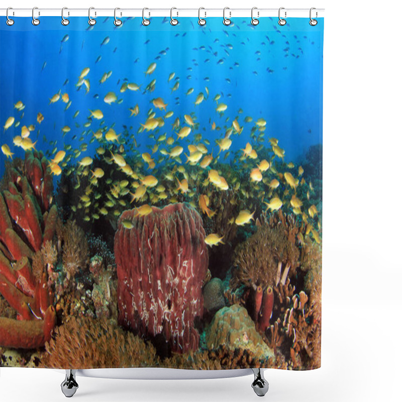 Personality  Colorful Coral Reef With Schools Of Fish Against Blue Water. Pescador Island, Moalboal, Philippines Shower Curtains