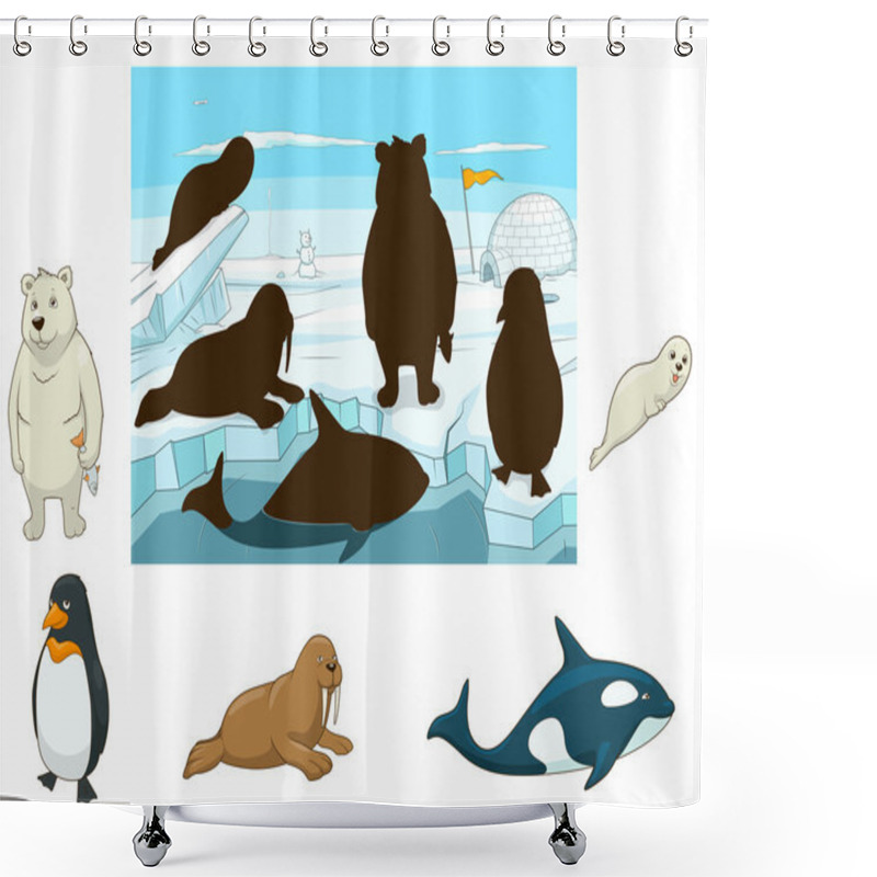 Personality  Arctic Animals Educational Game For Kids Vector Shower Curtains