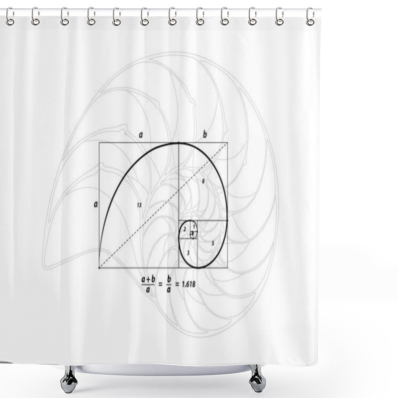 Personality  Golden Section And Shell Line On White, Vector Shower Curtains