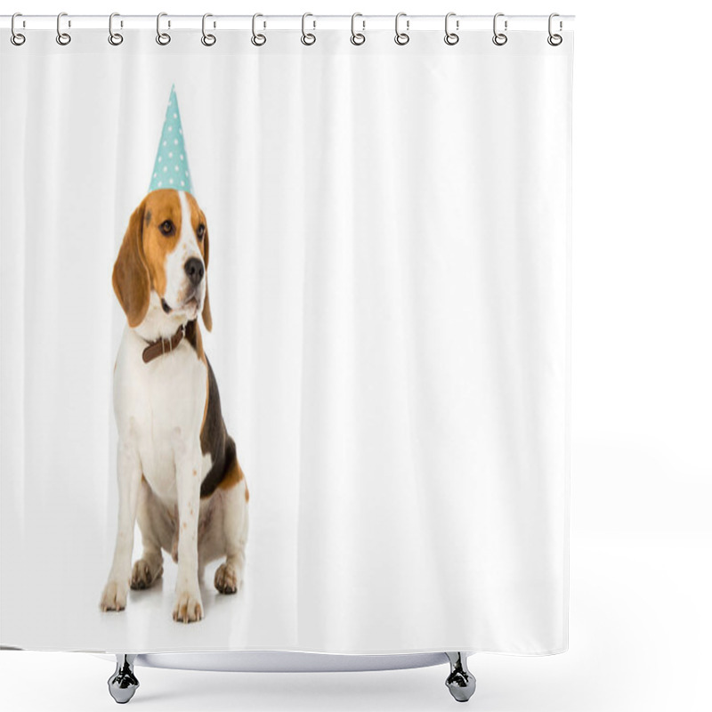 Personality  Beagle Dog In Party Cone Isolated On White Shower Curtains