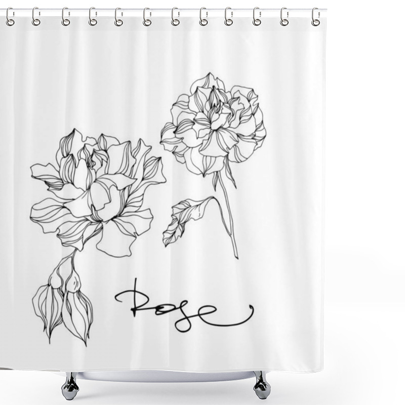 Personality  Vector Rose Floral Botanical Flowers. Black And White Engraved Ink Art. Isolated Roses Illustration Element. Shower Curtains