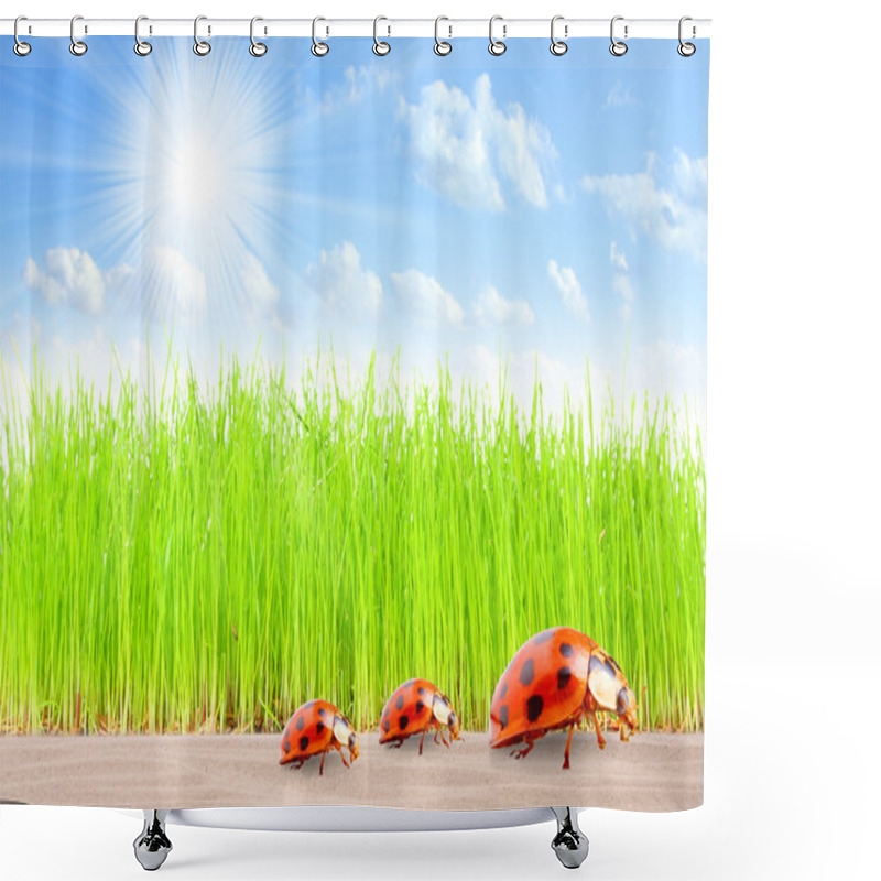 Personality  Ladybugs Family On The Road Shower Curtains