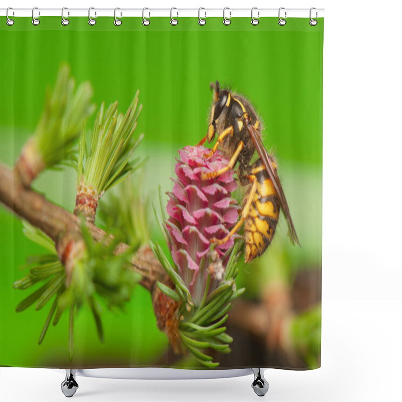 Personality  Larch Flower And Wasp Shower Curtains