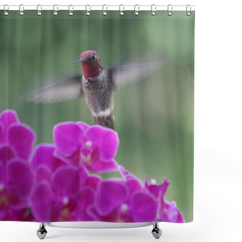 Personality  Hummingbird In Purple Orchids Shower Curtains