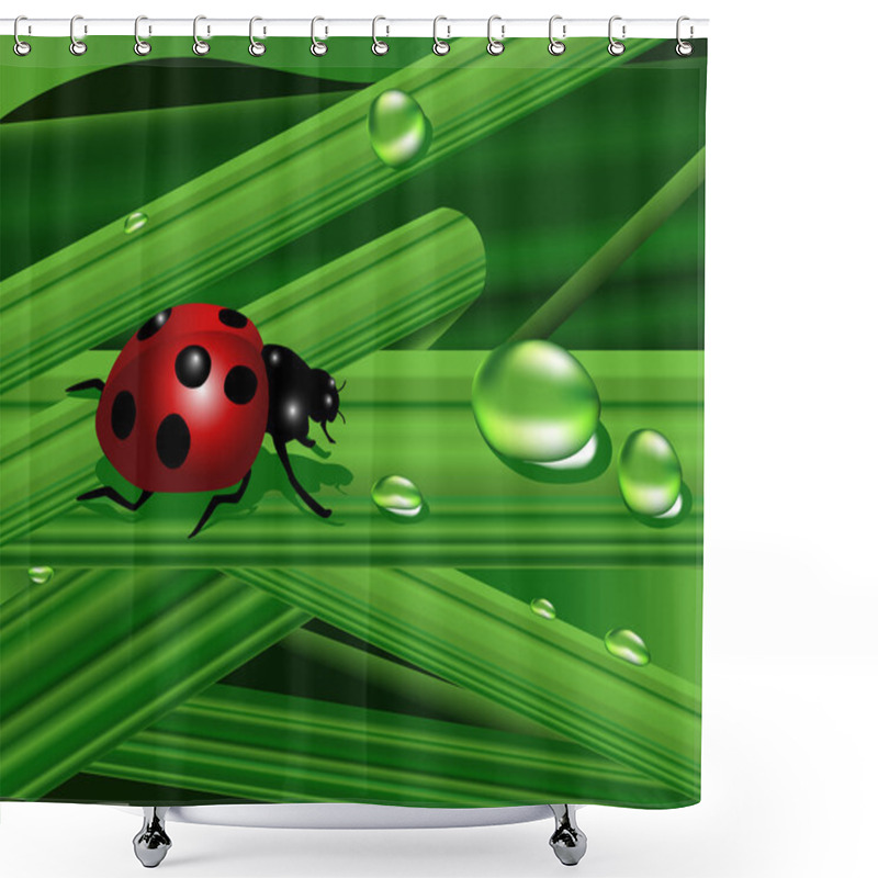 Personality  Ladybird Shower Curtains