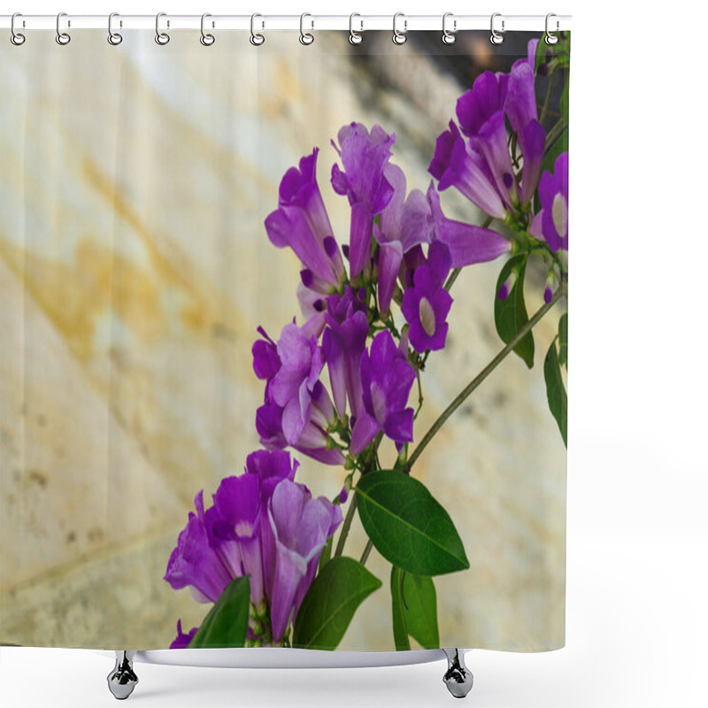 Personality  Vibrant Purple Blooms Against A Soft Natural Background Shower Curtains