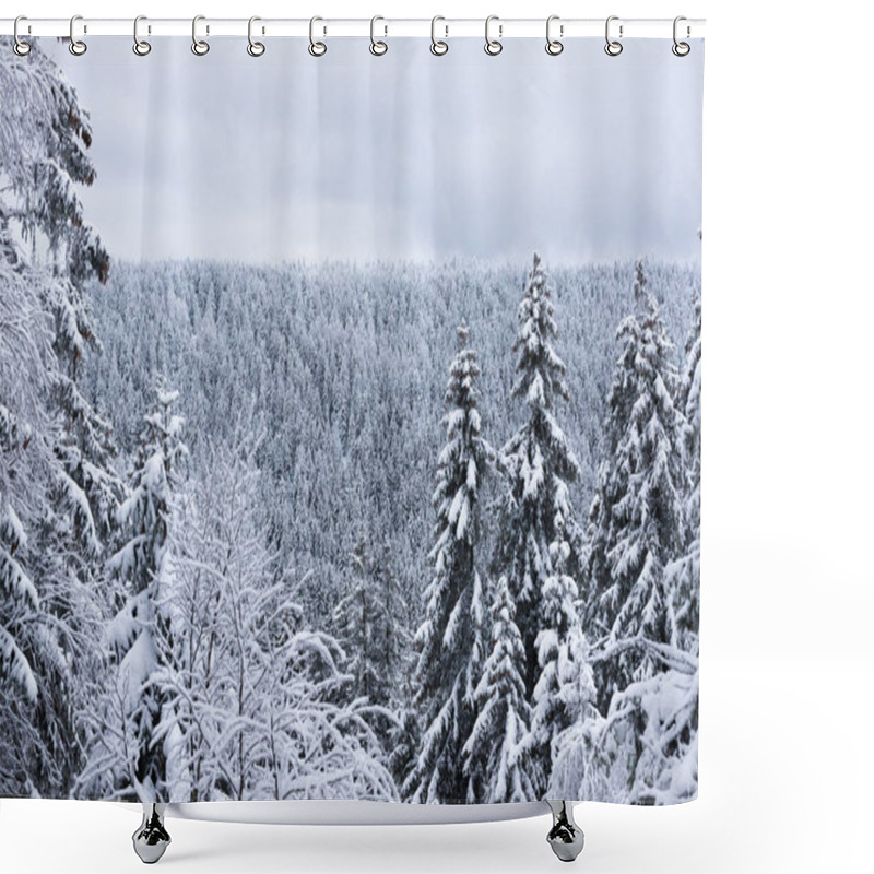 Personality  Spruce Tops In The Snow Against The Background Of A Cloudy Sky. With Place For Text. Seasonal Winter Landscape, Background. Winter Tourism, Walking In The Forest Shower Curtains