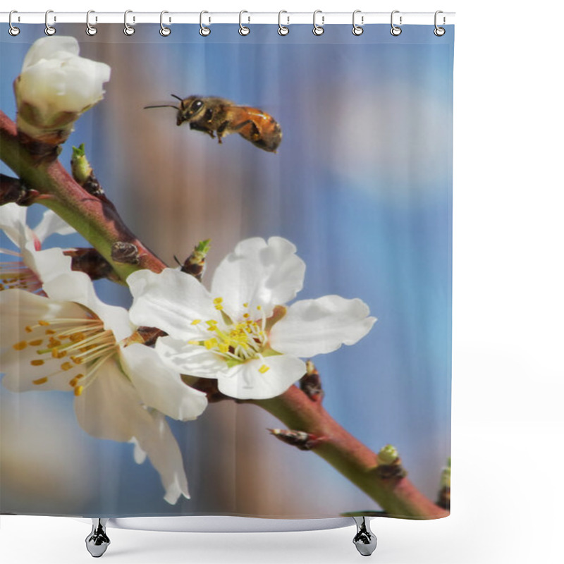 Personality  Bee Flying Over Almond Flowers. Shower Curtains