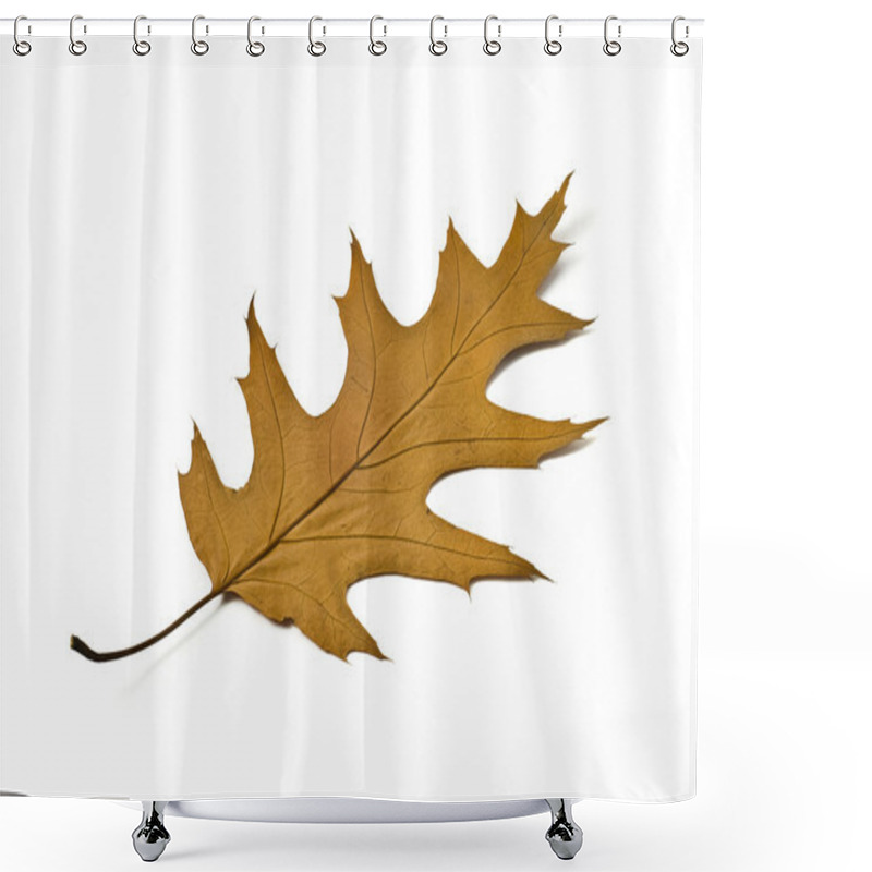 Personality  Beautiful Maple Leaf Shower Curtains