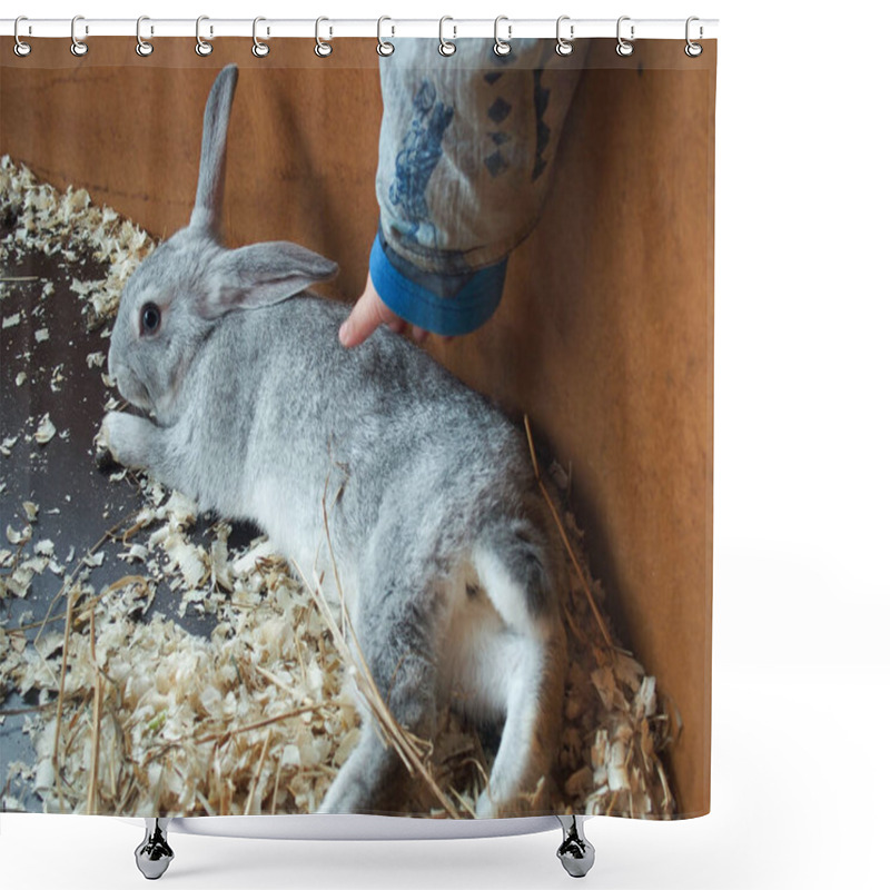 Personality  Child's Hand Stroking A Rabbit In The Fur Shower Curtains