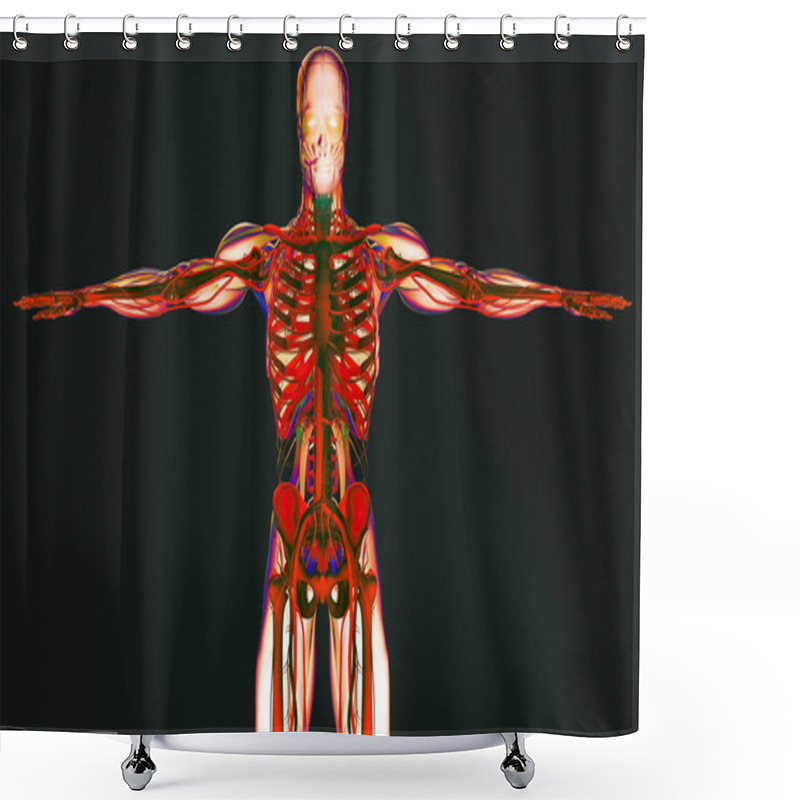 Personality  Human Anatomy Model Shower Curtains