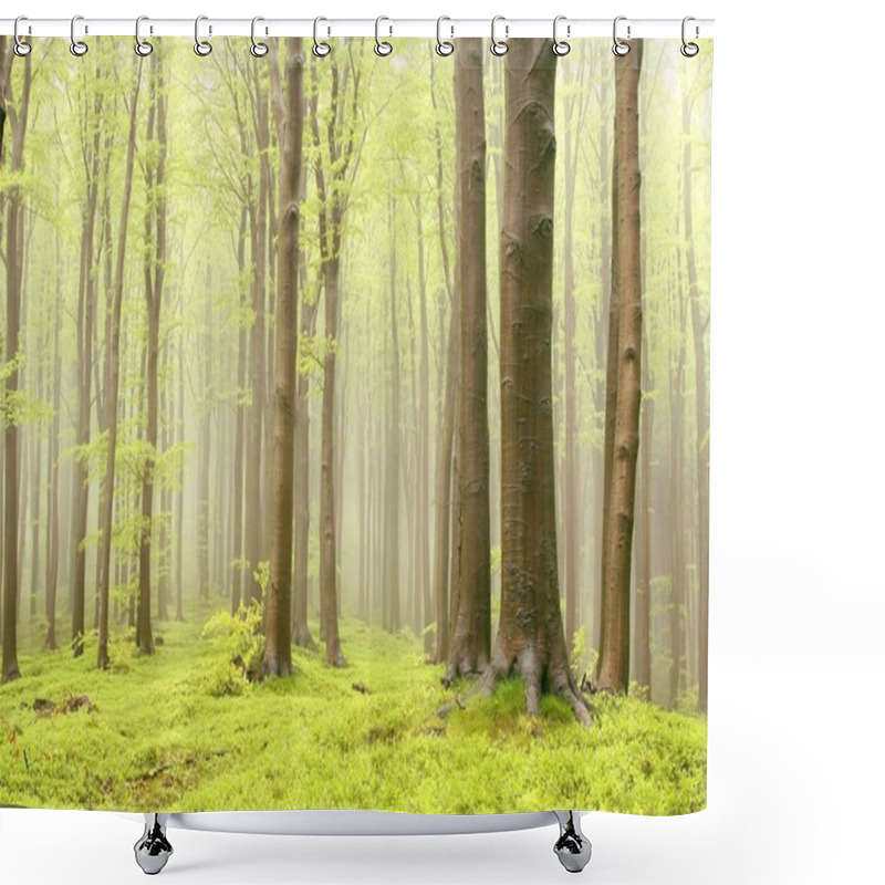 Personality  Misty Spring Forest Shower Curtains