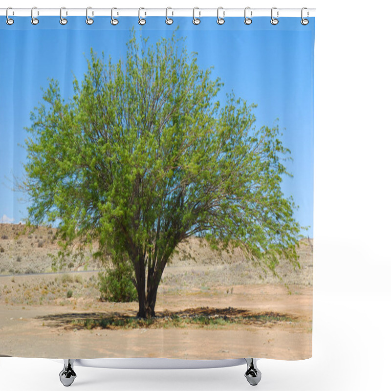 Personality  Mesquite Tree (Prosopis Pubescens) Shower Curtains