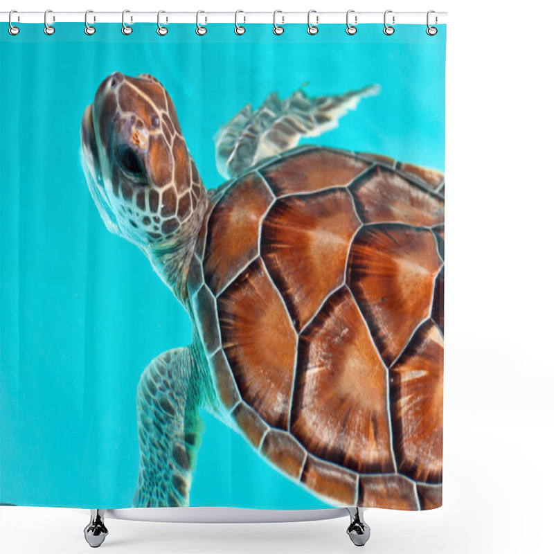 Personality  Baby Turtle Shower Curtains