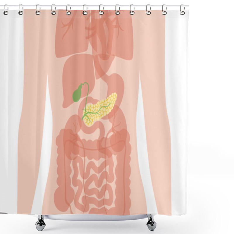 Personality  Pancreas An Human Body Shower Curtains