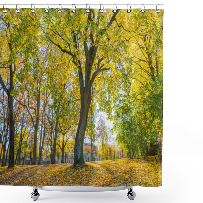 Personality  Arkadijas  Park In Riga, District Agenskalsns. Autumn, Yellow Tr Shower Curtains