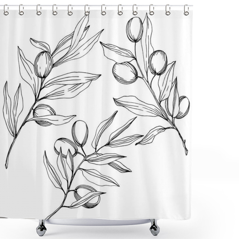 Personality  Olive Tree In A Vector Style Isolated. Black And White Engraved Ink Art. Shower Curtains