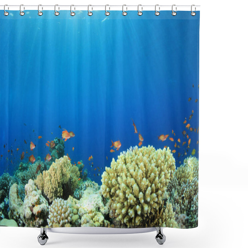 Personality  Marine Inhabitants In Deep Blue Ocean Shower Curtains