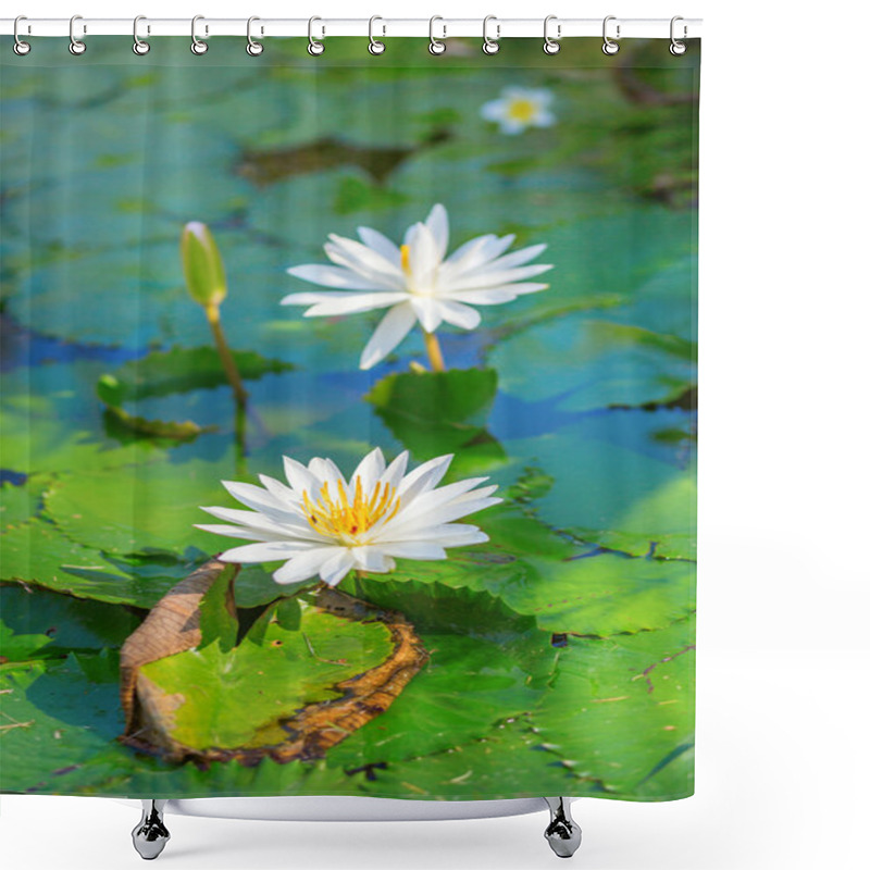 Personality  Beautiful White Water Lilies Shower Curtains