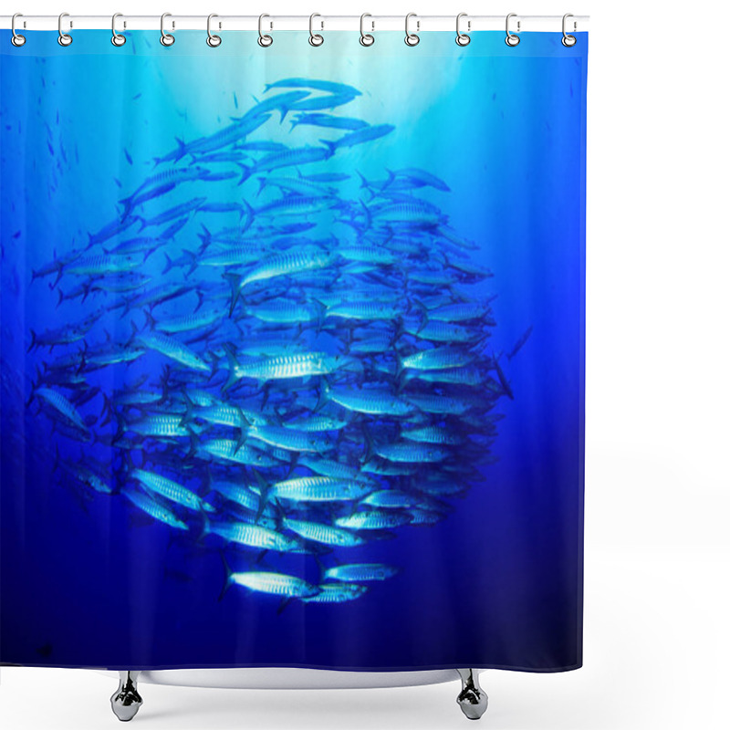 Personality  Marine Inhabitants In Deep Blue Ocean Shower Curtains