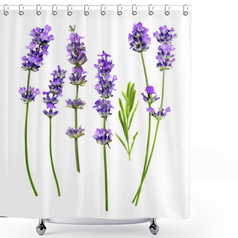 Personality  Lavender Flowers Set Isolated On A White Background. Flat Lay Shower Curtains