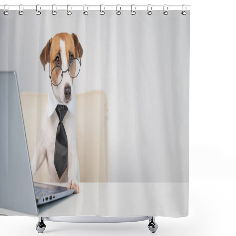 Personality  Dog Jack Russell Terrier In Glasses And A Tie Sits At A Desk And Works At A Computer On A White Background. Humorous Depiction Of A Boss Pet. Shower Curtains