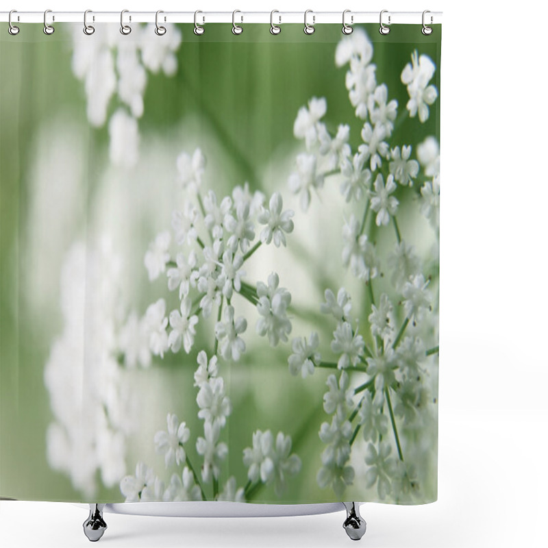 Personality  Bush Of White Flowers Shower Curtains