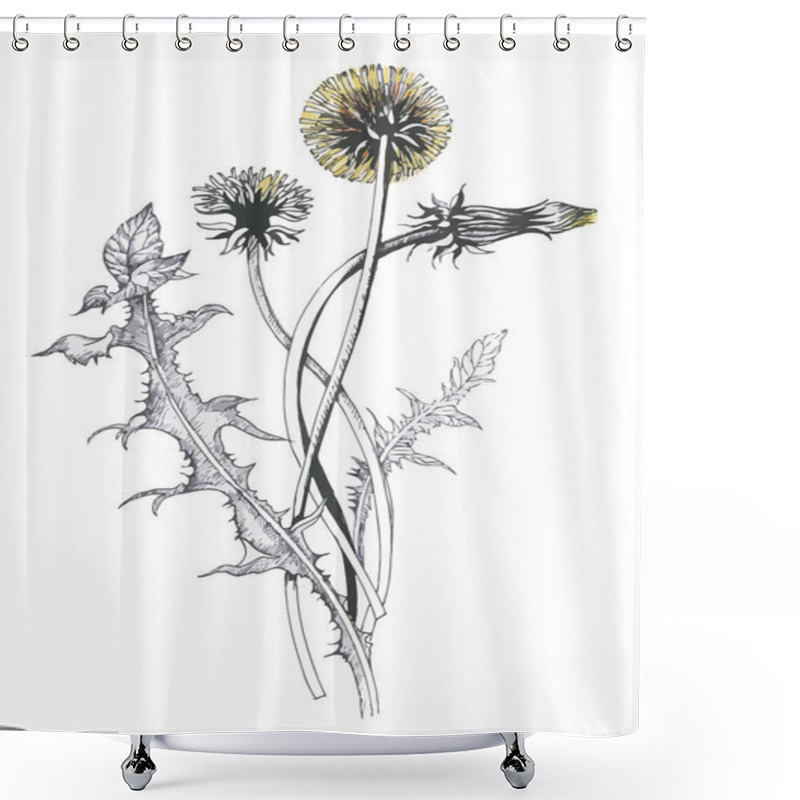 Personality  Isolated Blooming Meadow Flower Form Print Natural Outline Floral White Spring Ornament Monochrome Petal Organic Leaf Holiday Botanic Summer Graphic Blossom Drawing Black Daisies Chamomile Stem Garden Shower Curtains