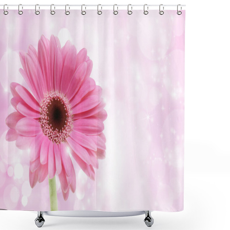 Personality  Pink Gerbera Flower Shower Curtains