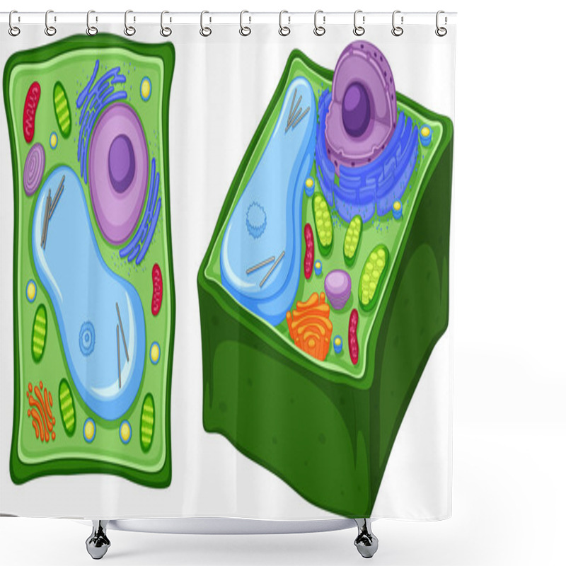 Personality  Close Up Diagram Of Plant Cell Shower Curtains