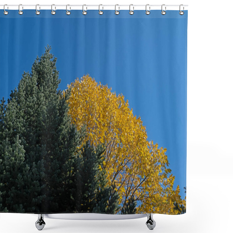 Personality  A Tree With Yellow Leaves In Autumn Against The Sky. Shower Curtains