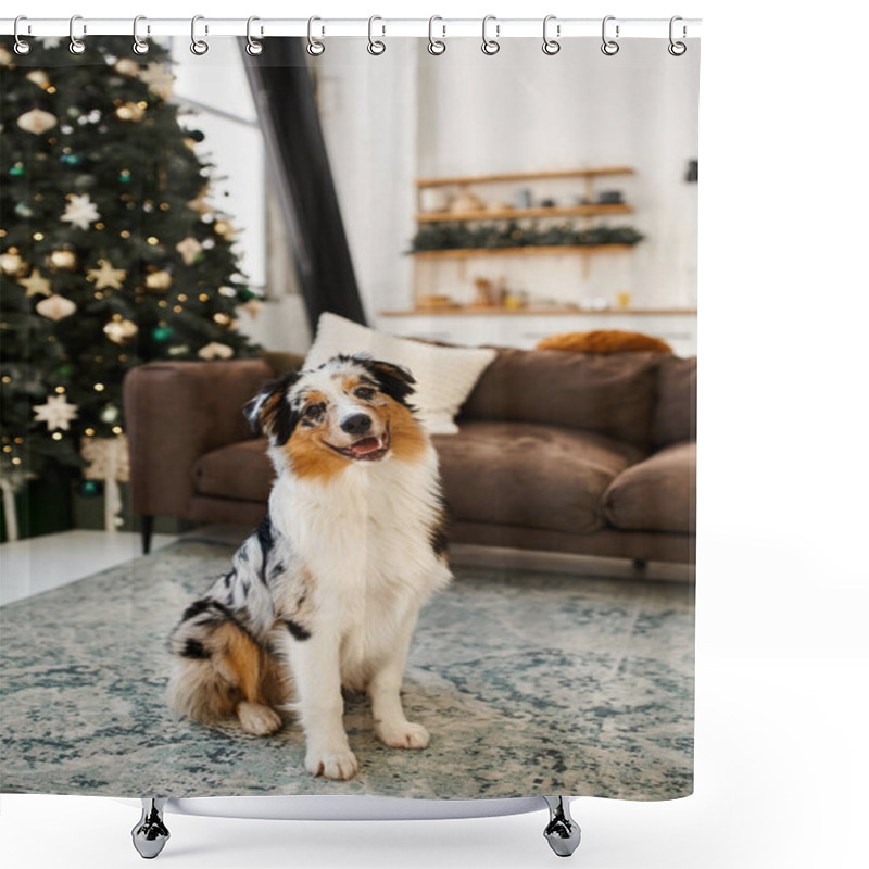 Personality  A Cheerful Dog Relaxes On A Plush Rug Near A Stylish Couch Adorned With Holiday Decorations. Shower Curtains