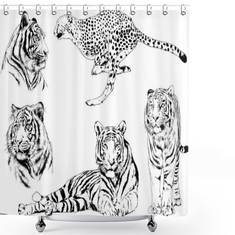 Personality  Vector Drawings Sketches Different Predator , Tigers Lions Cheetahs And Leopards Are Drawn In Ink By Hand , Objects With No Background Shower Curtains