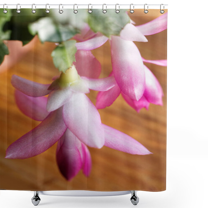 Personality  Beautiful Cactus Flowers Shower Curtains