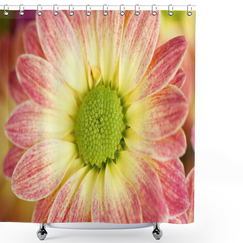 Personality  Yellow Flower Background Shower Curtains