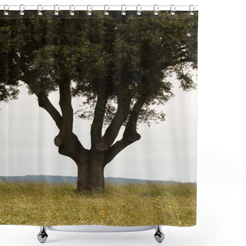 Personality  Lonely Tree In Field Shower Curtains